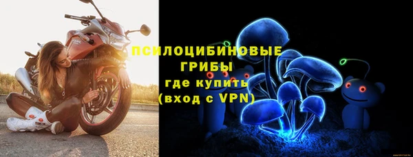 мяу мяу мука Алексеевка